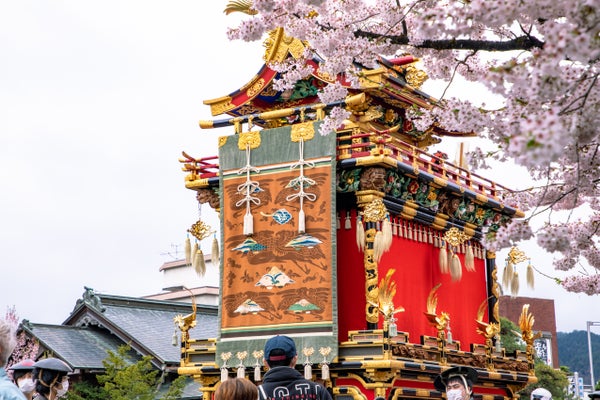 【富山県内発着】絶品とろろのご昼食とミュージアムの入場付き!『春の高山祭』1